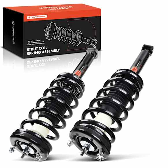 APSA0211 Rear Complete Strut & Coil Spring Assembly, Set of 2