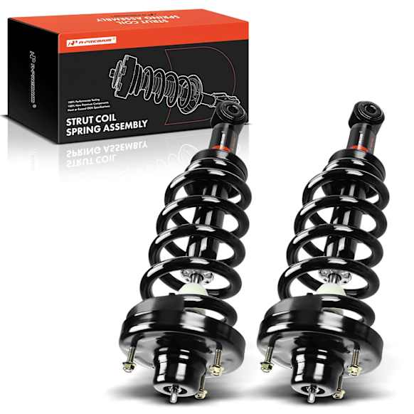 APSA0230 Rear Complete Strut & Coil Spring Assembly, Set of 2
