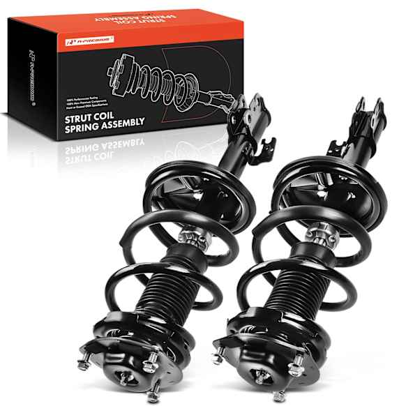 APSA0294 Front Complete Strut & Coil Spring Assembly, Set of 2