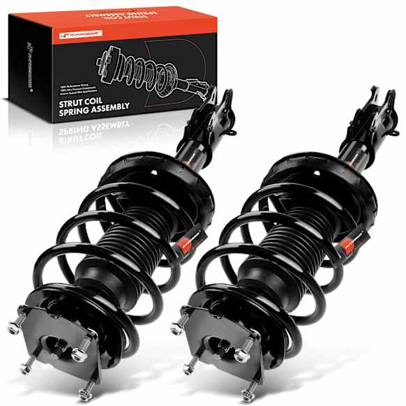APSA0491 Front Complete Strut & Coil Spring Assembly, Set of 2