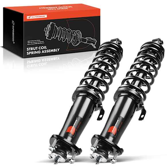 APSA0597 Rear Complete Strut & Coil Spring Assembly, Set of 2