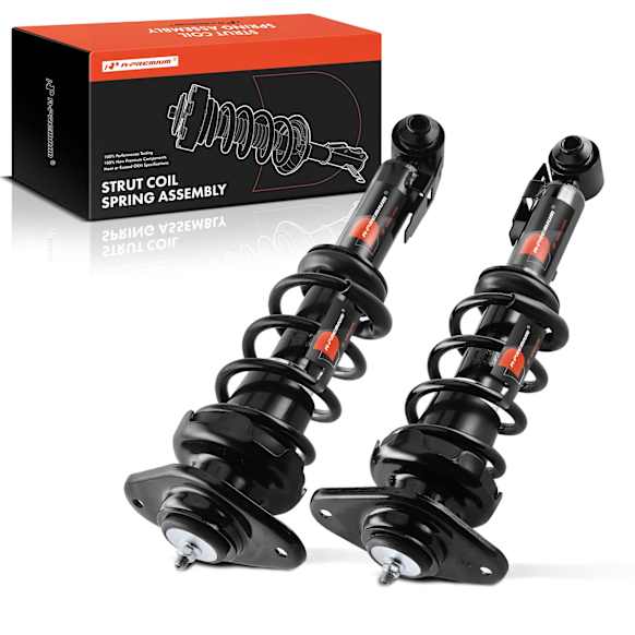 APSA1026 Rear Complete Strut & Coil Spring Assembly, Set of 2