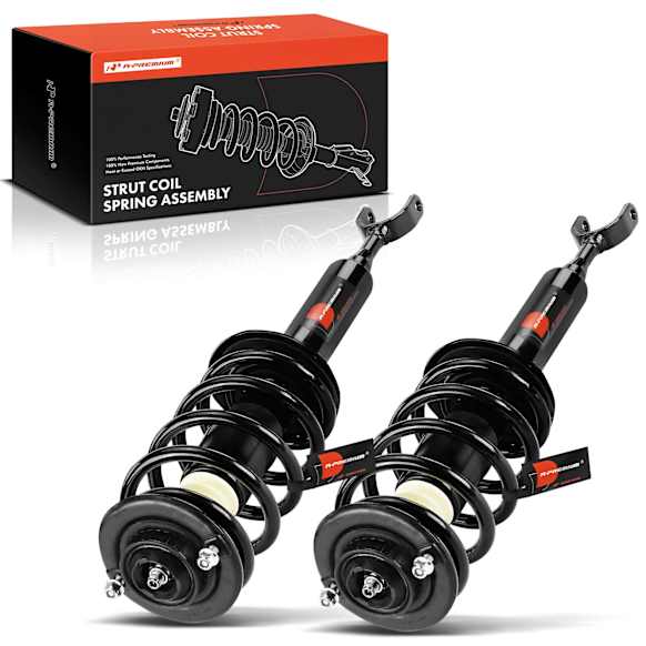 APSA2018 Front Complete Strut & Coil Spring Assembly, Set of 2