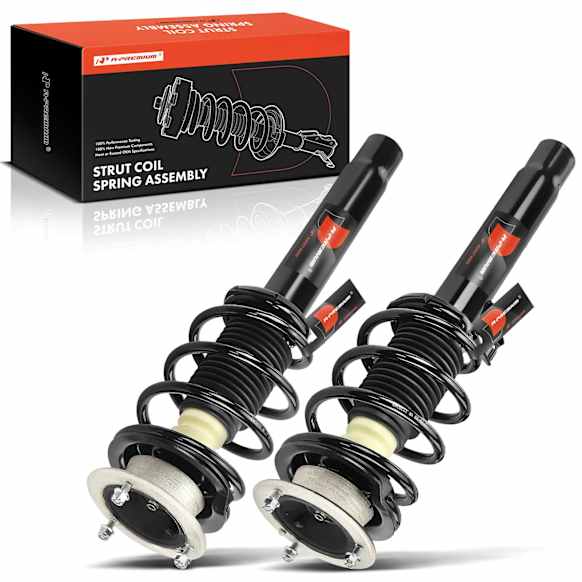 APSA2022 Front Complete Strut & Coil Spring Assembly, Set of 2