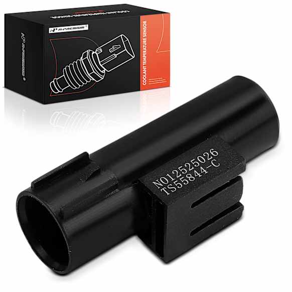 APTS0280 Ambient Air Temperature Sensor