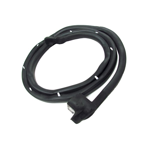 DWR 2110 66 Front, Passenger Side Door Molding and Beltlines