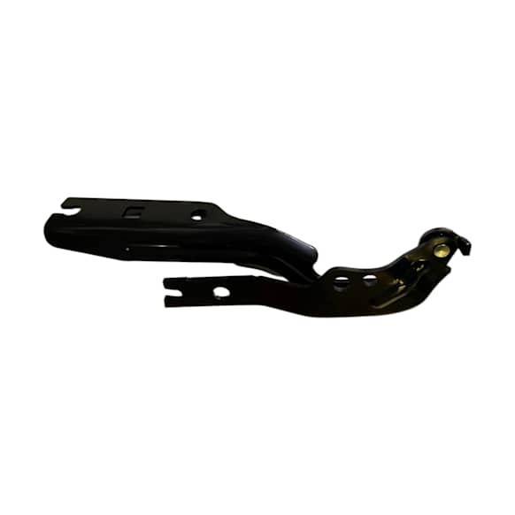 Driver Side Hood Hinge, CAPA Certified