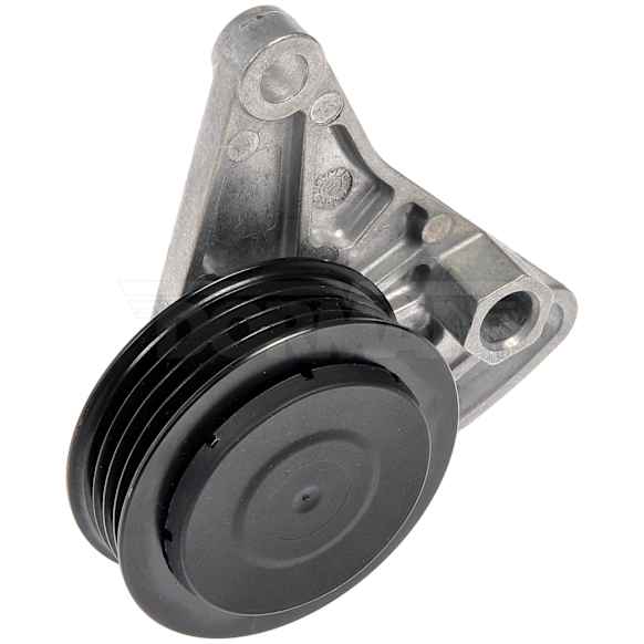 419-669 Accessory Belt Idler Pulley Techoice Series, Steel