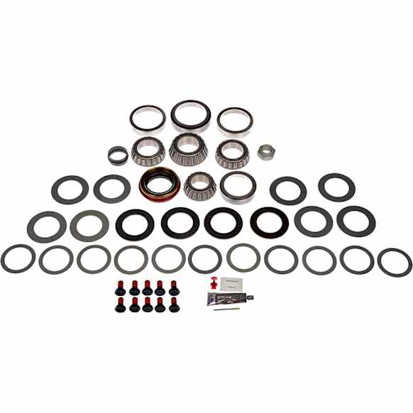 797-100 Differential Bearing and Seal Kit - Kit