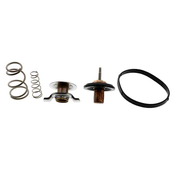 LR005765 Thermostat