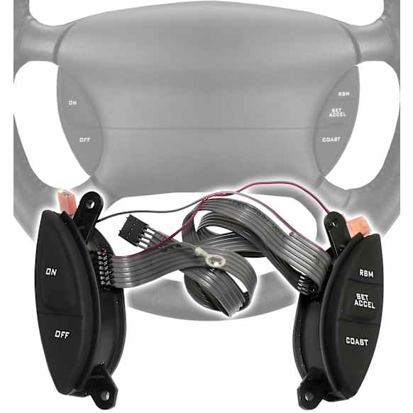 Cruise Control Switch