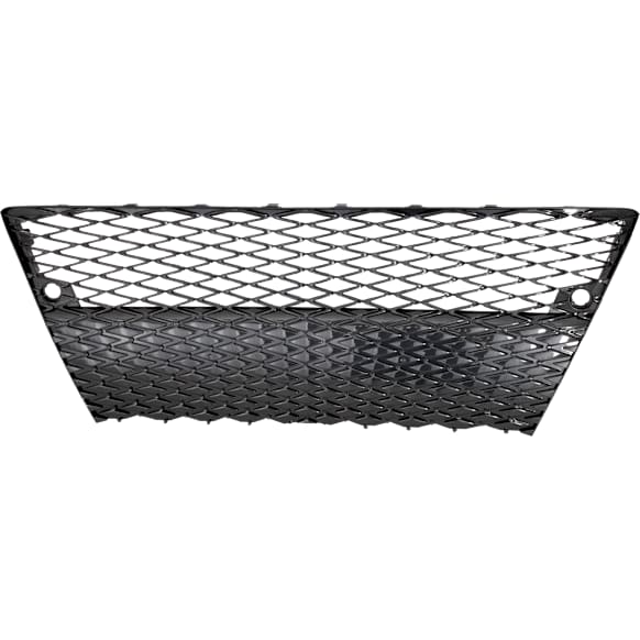 2014 Lexus IS250 Base - Front Bumper Grille, For Models With F Sport Package, Gray