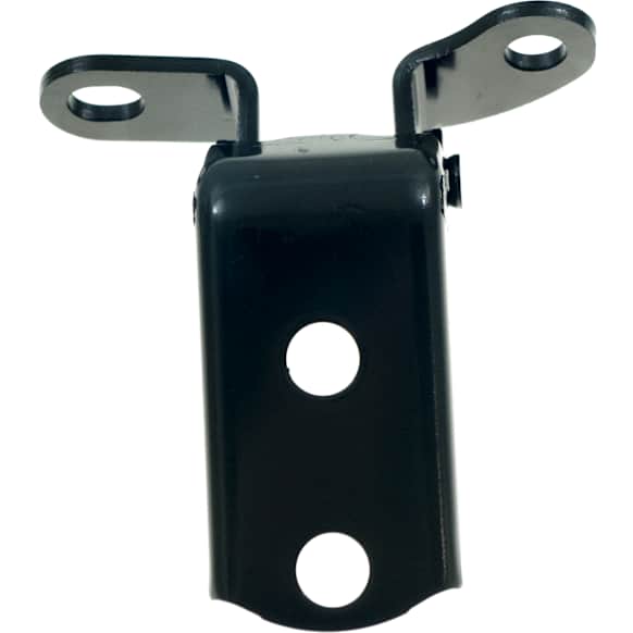 Rear, Passenger Side, Lower Door Hinge, Black