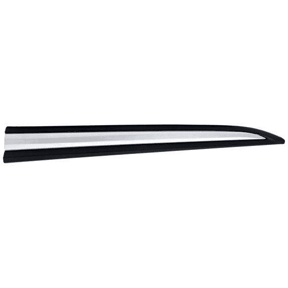 Front, Passenger Side, Lower Door Molding and Beltlines, Black and Silver