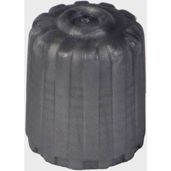 20395 Valve Stem Cap - Gray, Plastic