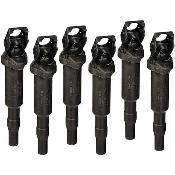 SET-BS0221504470 Ignition Coils, Set Of 6, 6 Cylinder, 3.0L Engine, One Per Cylinder