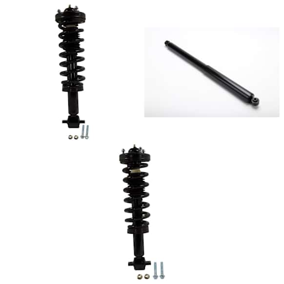 Shock and Fully Loaded Struts