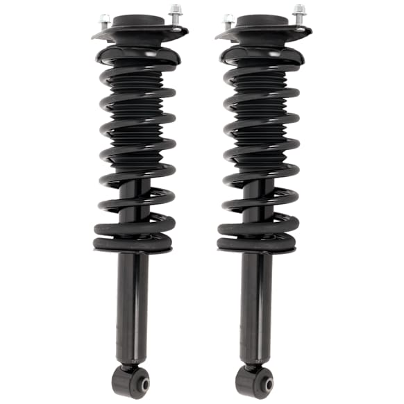 Rear, Driver and Passenger Side Fully Loaded Strut