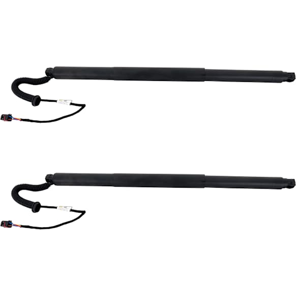2018 Volkswagen Tiguan Highline - Driver and Passenger Side Lift Support Liftgate, With Power Liftgate, Powerise, For Liftgate