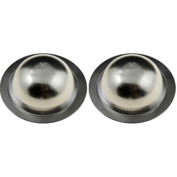 SET-RB13977-2 Dust Cap - Direct Fit, Set of 2