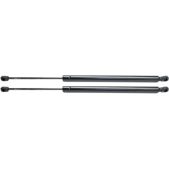 Driver and Passenger Side Trunk Lid Lift Support, Sport Utility
