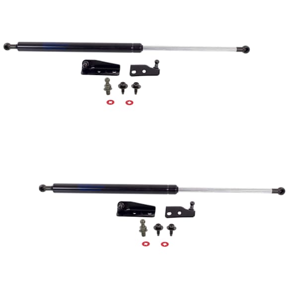 2003-2009 Infiniti FX35 - Driver and Passenger Side Liftgate Lift Support, Base Sport Utility, Set of 2