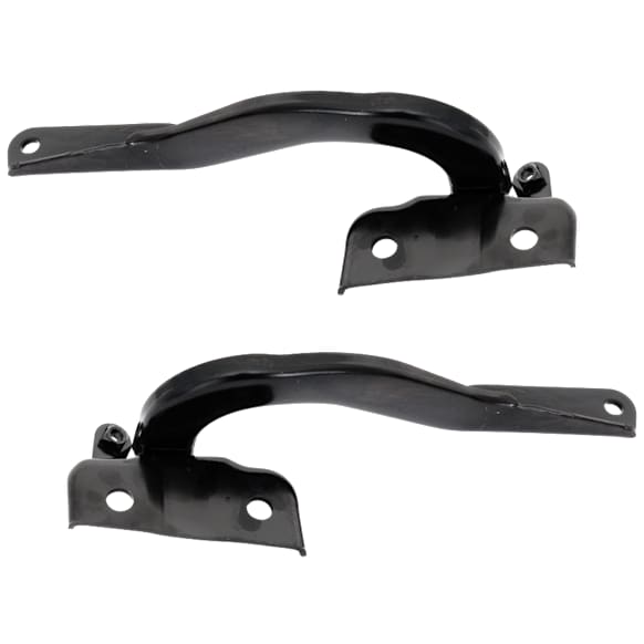 Driver and Passenger Side Hood Hinges
