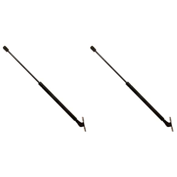 SET-TRWTSG230061-2 Driver and Passenger Side Hood Lift Support, 3.0L, 6Cyl, Set of 2