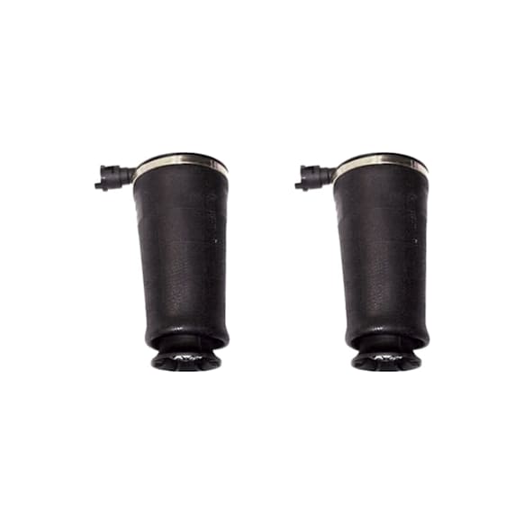 2004 Mercury Marauder - Rear, Driver and Passenger Side, Air Spring