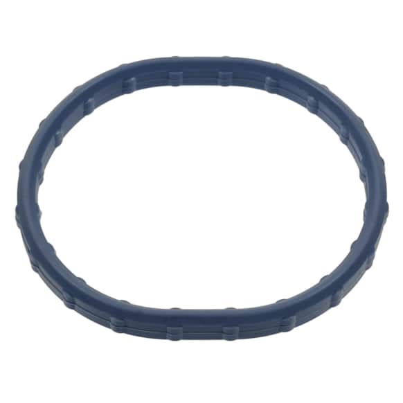 PG91 Intake Plenum Gasket