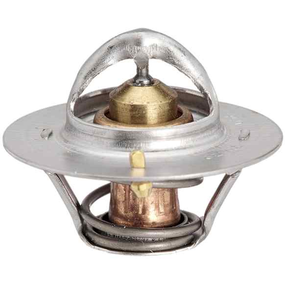 13869 Thermostat