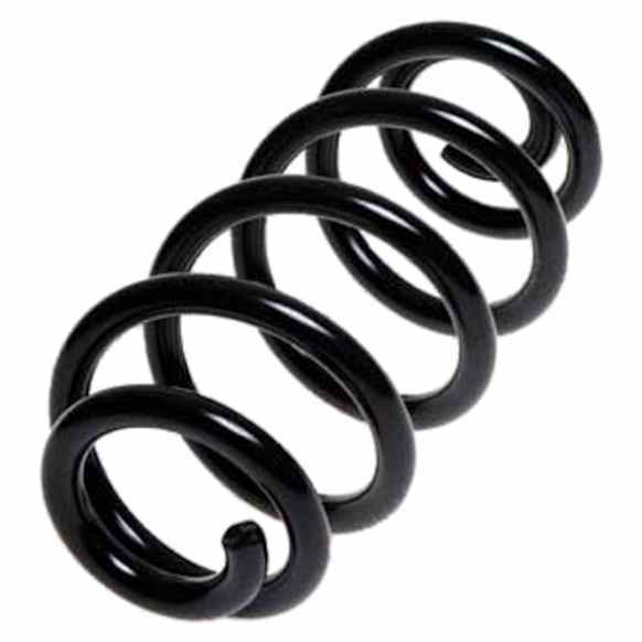 4204253 Rear Coil Springs, Sold individually
