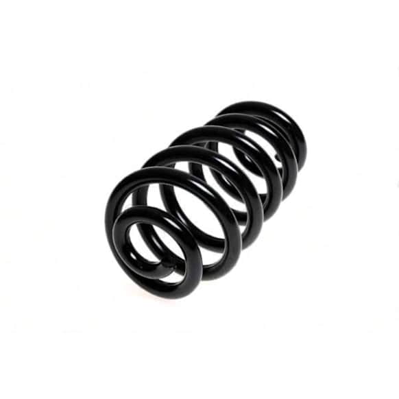 4204255 Rear Coil Springs, Sold individually