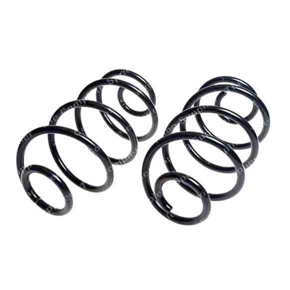4412124 Rear Coil Springs, Set of 2