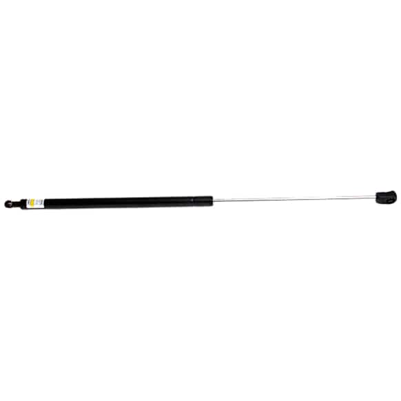 8104212 Driver or Passenger Side Lift Support, 20v 2.3L, 5Cyl, Sold Individually
