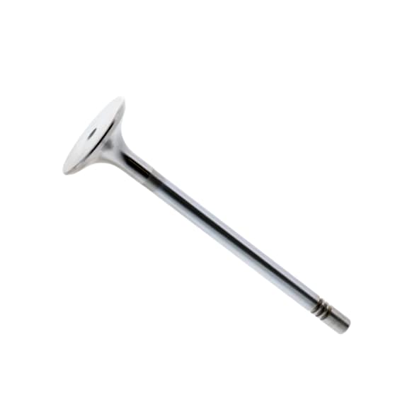 261126 Intake Valve - Sold Individually