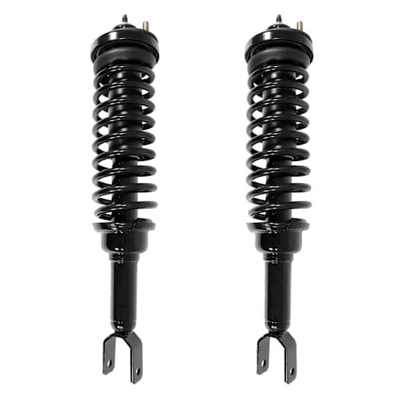 2-15220-001 Rear, Driver and Passenger Side Fully Loaded Strut