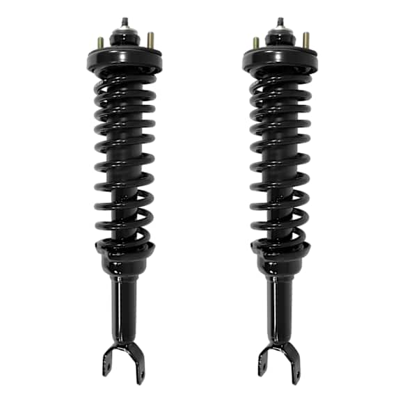 2-15330-001 Rear, Driver and Passenger Side Fully Loaded Strut