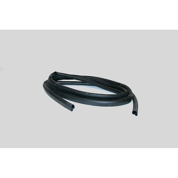 faig3003_1