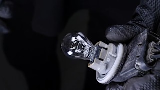 How to Replace Tail Light Bulbs: 2009-2014 Ford F-150