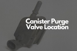 Where Is the Canister Purge Valve Located?