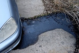 What Products Stop Oil from Leaking?
