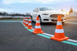 The Moose Test: Can Your Car Handle It?