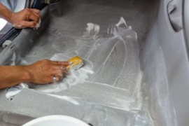 Tips &amp; Tricks to Remove Mold From Carpet in Car