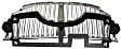1998-2002 Lincoln Town Car - Grille, Chrome Shell with Silver Insert, 8 Cyl., 4.6L Engine