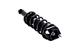 1355028 Rear, Driver or Passenger Side Fully Loaded Strut
