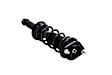 1355029 Rear, Driver or Passenger Side Fully Loaded Strut