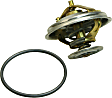 2002 Volkswagen Passat - Thermostat, 6 Cyl 2.8L, Includes Gasket/Seal, Temperature 198, Stainless Steel