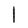 341577 Front, Driver or Passenger Side Shock