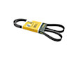 038-903-137 T Serpentine Belt - Sold Individually